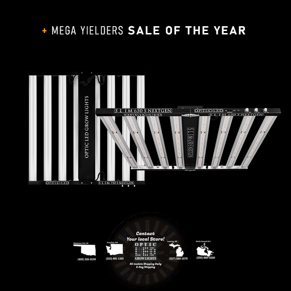 Mega Yielders sale of the Year!