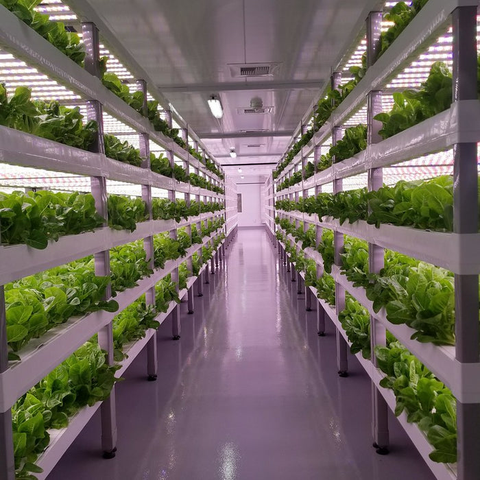 Vertical Farming In Northern Countries